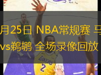 10月25日 NBA常規(guī)賽 馬刺vs鵜鶘 全場錄像回放