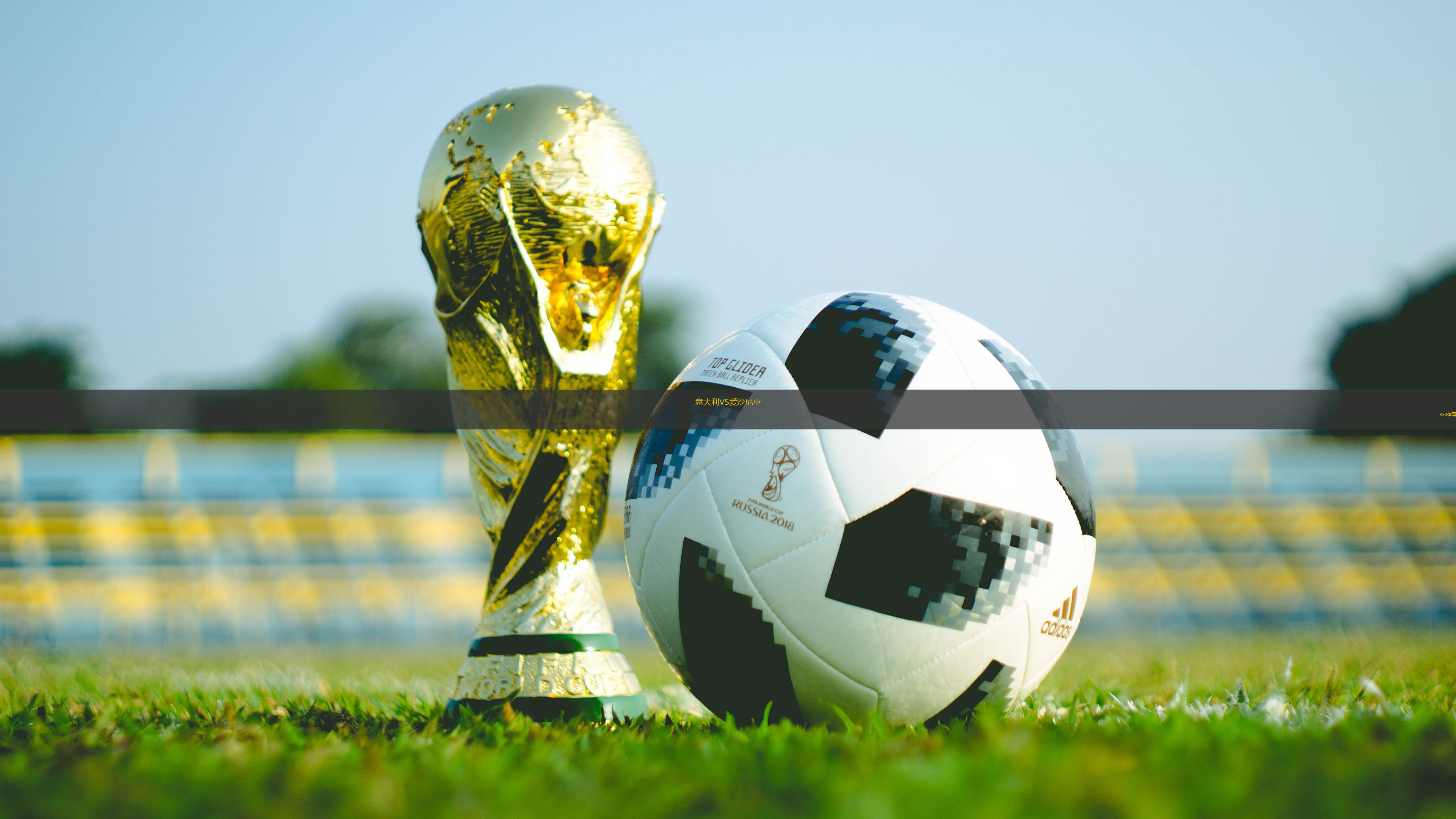 意大利VS愛沙尼亞