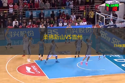 柔佛新山VS雪州